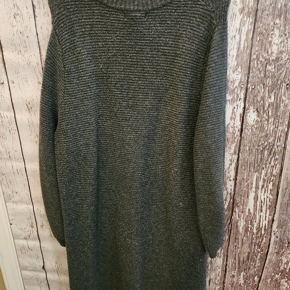 Prologue Long Sleeve Dress